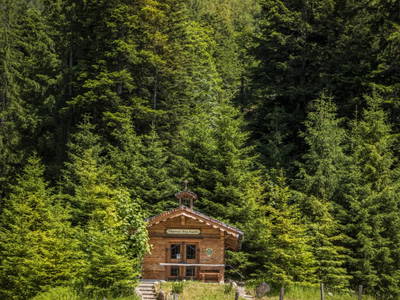 Bild 123 aus  Bachrain - Bio am Berg 