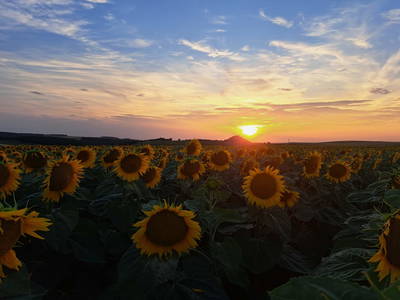 Bild 47 aus  Gästezimmer Rieder