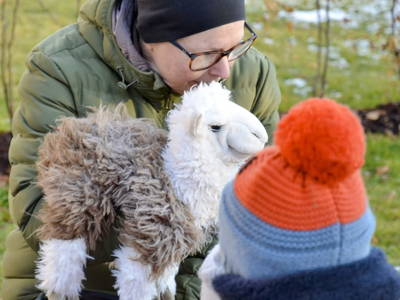 Bild 26 aus  Pfleger Ranch am Schönegg Gut