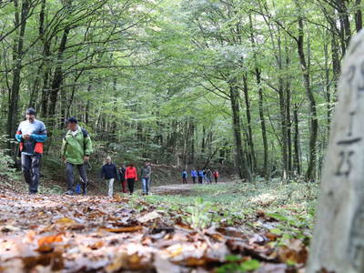 Bild 126 aus  Buchgrabenhof