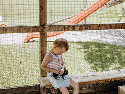 Bild 147 aus  Taxengut