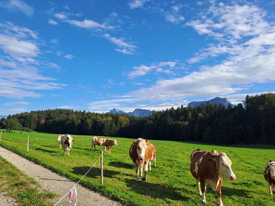 Bild 32 aus  Obergrünwaldgut