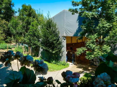 Bild 55 aus  Römerweg