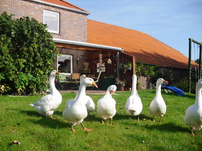 Wir dürfen hier groß werden!