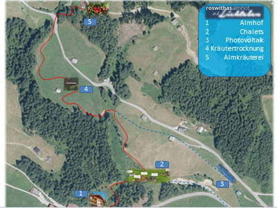 Bild 96 aus  Lichteben