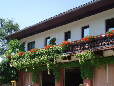 Bild 12 aus  Höllmühle