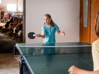 Bild 23 aus  Grainmeisterhof