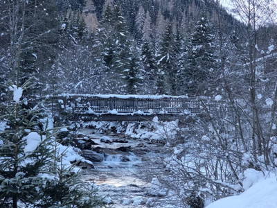 Bild 163 aus  Alfaierhof & Bergheimat