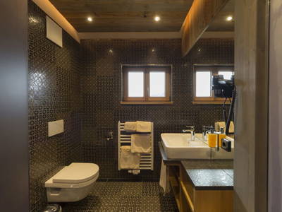 Bild 6 aus  Almresort Baumschlagerberg