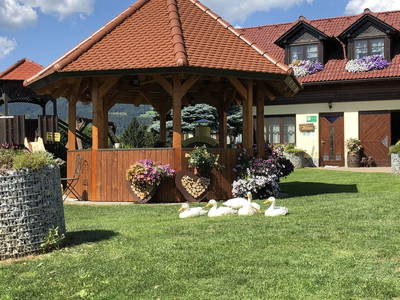 Bild 2 aus  Familie Rößler vlg. Spor