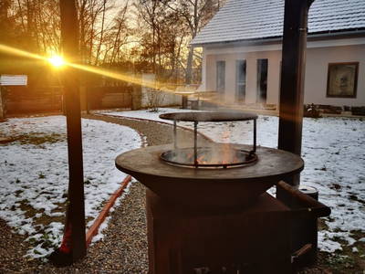 Bild 31 aus  Monschein Demeterweingut