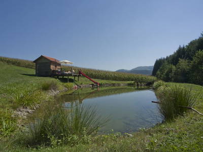 Bild 28 aus  Winzerhof Gästezimmer Grebenz 