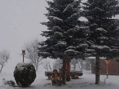 Bild 129 aus  Pölzlhof