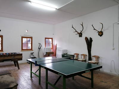 Bild 66 aus  Ferienhof Rabenreith