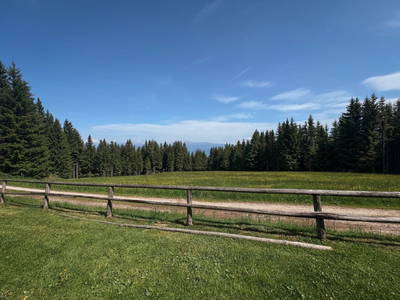 Bild 55 aus  Brandnerhütte