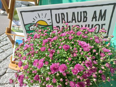 Bild 66 aus  Familienbauernhof Köss Schertler