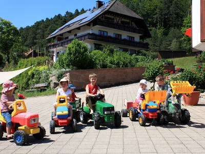 Bild 26 aus  Schlosshof - der Urlaubsbauernhof