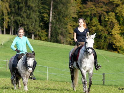 Bild 17 aus  Unterfürberg-Hof