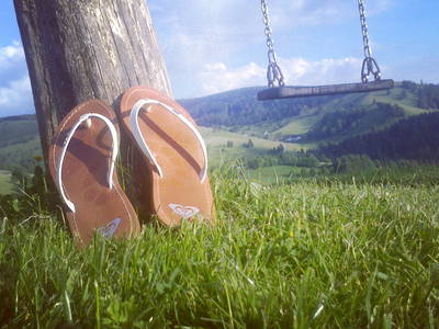 Bild 8 aus  Rotenhof - ein Hof mit Weitblick