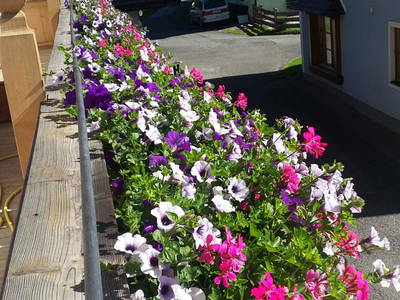 Bild 75 aus  Obersinnlehenhof