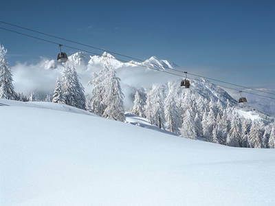 Bild 50 aus  Taxengut