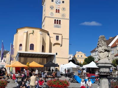 Bild 33 aus  Ferienhaus Weinviertel