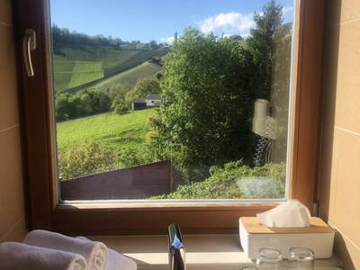 Bild 103 aus  Weinidylle Dreisiebner