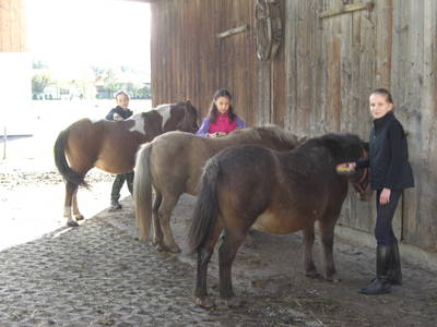 Bild 23 aus  Geigerhof