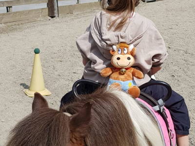 Bild 99 aus  Alpin Appart Reiterhof