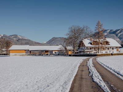 Bild 53 aus  Klinglerbauer