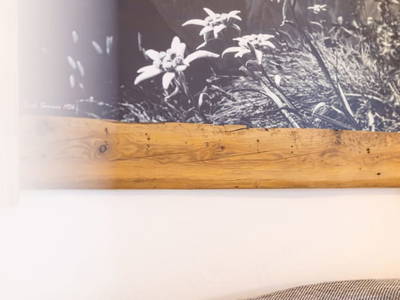 Bild 176 aus  Kassnhof