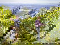 Bild 48 aus  Weingut Seiner vlg.Kraxner