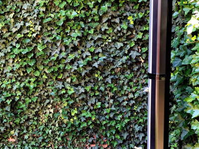 Bild 22 aus  Ferienhaus Weinviertel