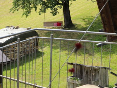 Bild 206 aus  Familienbauernhof Bereuter