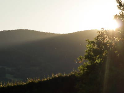 Bild 13 aus  Lodge am Wasser