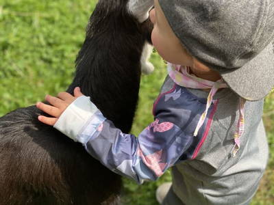 Bild 129 aus  Bio Bauernhof Landhaus Bender Ferienhaus Kellerstöckl