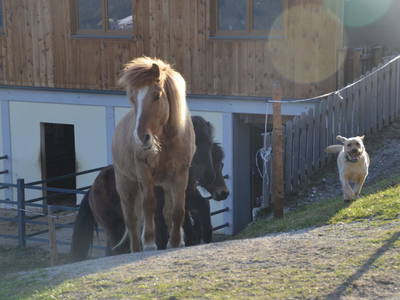 Bild 28 aus  Oberegghof