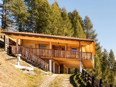 Bild 65 aus  Wallnerhütte I Almblick