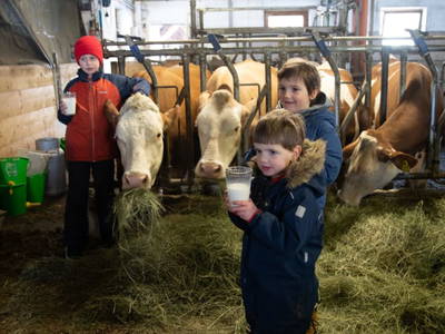 Bild 89 aus  Chalet Steinerner Meerblick