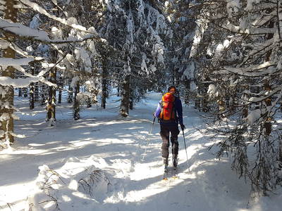 Bild 30 aus  Bauniglerhof