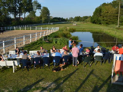 Bild 6 aus  Ferienhof Peter -  Ponys - streicheln, striegeln, füttern  -  Wattwanderungen + ganz viel Nordsee