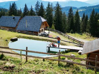 Bild 47 aus  Almchalet Nikola