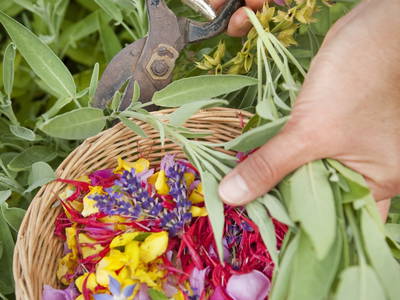 Bild 53 aus  LandSelection  *  WAIBELHOF *  AllgäuerAlpenWellness