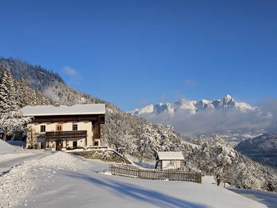 Bild 101 aus  Pfleger Ranch am Schönegg Gut