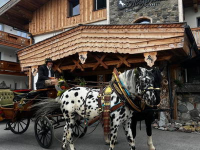 Bild 152 aus  Sieglhub Chalets * Appartements * Hotel