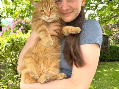 Bild 58 aus  Weingut Dworschak