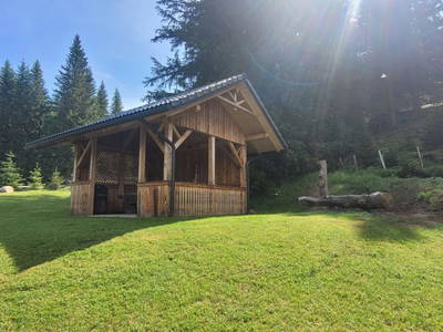 Bild 95 aus  Fuggerhütte - Flattnitz