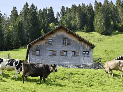 Bild 3 aus  UNSER VORSÄSS - Klausberg