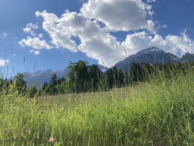 Bild 116 aus  Karlhof