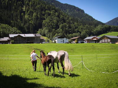 Bild 17 aus  Haus Bergquell mit Pferdestall
